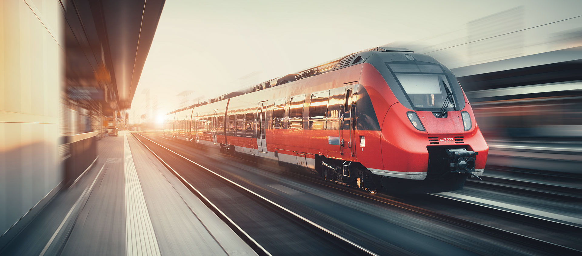 Услуги таможенного юриста в Александрийской